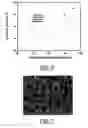 Fig. 05 - Method for preparing a porous polymer structure