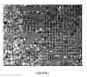 Fig. 03 - Biocompatible protein particles, particle devices and methods thereof