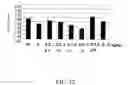 Fig. 23 - Astragalus radix and codonopsis pilosulae radix mixed extract for inhibiting carcinogenesis and metastasis