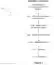 Fig. 02 - Method of fortifying seeds with an essential fatty acid, fortified seed and food product