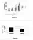 Fig. 05 - Method of fortifying seeds with an essential fatty acid, fortified seed and food product