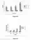 Fig. 08 - Method of fortifying seeds with an essential fatty acid, fortified seed and food product