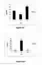 Fig. 10 - Method of fortifying seeds with an essential fatty acid, fortified seed and food product