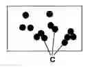 Fig. 01 - Biaxially oriented polyster film and flexible disk