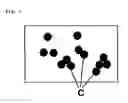 Fig. 02 - Biaxially oriented polyster film and flexible disk