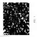 Fig. 02 - Single phase platinum aluminide bond coat