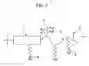 Fig. 02 - Proton conducting electrolyte and fuel cell using the same