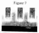 Fig. 09 - Lithography pattern shrink process and articles