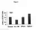 Fig. 09 - Tissue analogs for in vitro testing and method of use therefor
