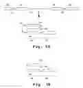 Fig. 04 - Display of dimeric proteins on phage