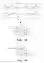 Fig. 05 - Display of dimeric proteins on phage