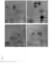 Fig. 10 - Composite organic-inorganic nanoparticles and methods for use thereof