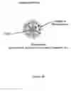 Fig. 23 - Composite organic-inorganic nanoparticles and methods for use thereof