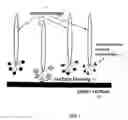 Fig. 02 - Methods for identifying a peptide that binds a geometrical shape