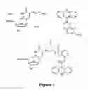 Fig. 02 - Compositions and methods for detecting reverse transcriptase in a sample