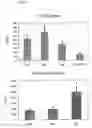 Fig. 08 - Method of diagnosis of inflammatory diseases using calgranulin c