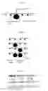 Fig. 03 - Methods and compositions for detecting nucleic acids using scanning probe microscopy and nanocodes