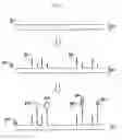 Fig. 06 - Methods and compositions for detecting nucleic acids using scanning probe microscopy and nanocodes