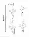 Fig. 04 - Mixtures of isobarically labeled analytes and fragments ions derived therefrom