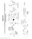 Fig. 08 - Mixtures of isobarically labeled analytes and fragments ions derived therefrom