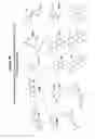 Fig. 10 - Mixtures of isobarically labeled analytes and fragments ions derived therefrom