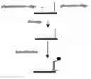 Fig. 01 - Interaction detection on several probe arrays