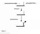 Fig. 05 - Interaction detection on several probe arrays