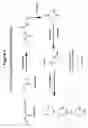 Fig. 02 - Mixtures of isobarically labeled analytes and fragments ions derived therefrom