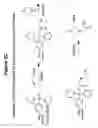 Fig. 04 - Mixtures of isobarically labeled analytes and fragments ions derived therefrom
