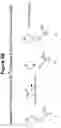 Fig. 06 - Mixtures of isobarically labeled analytes and fragments ions derived therefrom