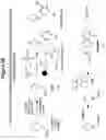 Fig. 08 - Mixtures of isobarically labeled analytes and fragments ions derived therefrom