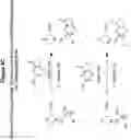 Fig. 09 - Mixtures of isobarically labeled analytes and fragments ions derived therefrom
