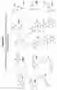 Fig. 10 - Mixtures of isobarically labeled analytes and fragments ions derived therefrom