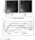 Fig. 05 - Screening assay for aggregations