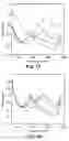 Fig. 04 - Enzymatic template polymerization