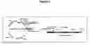 Fig. 02 - Methods and compositions for delivering polynucleotides