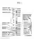 Fig. 02 - Tumor suppressor designated TS10q23.3