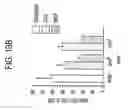 Fig. 43 - Tumor suppressor designated TS10q23.3