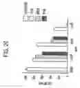 Fig. 44 - Tumor suppressor designated TS10q23.3