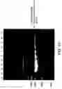 Fig. 22 - Compositions and kits for detection of a nucleic acid by sequential amplification