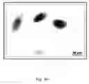 Fig. 05 - Fluorescence assays with improved sensitivity