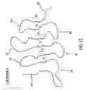 Fig. 04 - Scaffolded fusion polypeptides and compositions and methods for making the same