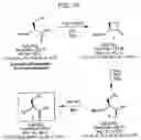 Fig. 08 - Chemoselective ligation