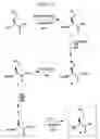Fig. 09 - Chemoselective ligation