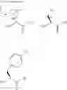 Fig. 44 - Chemoselective ligation