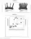 Fig. 06 - Template-directed assembly of receptor signaling complexes