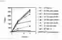 Fig. 08 - Reaction solution for cell-free protein synthesis, method of preparing the same, and protein synthesis method using the same