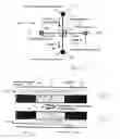 Fig. 04 - Microfluid molecular-flow fractionator and bioreactor with integrated active/passive diffusion barrier