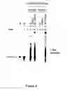 Fig. 07 - Packaging cell lines for generation of high titers of recombinant AAV vectors