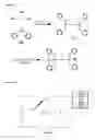 Fig. 02 - Fluorescent sensor for phosphate ion and phosphorylated peptide